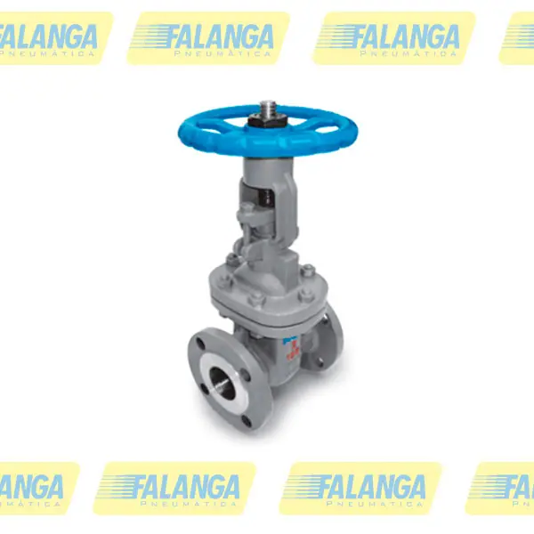Valvula Gaveta Classe 150